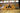 Basketball Equipment