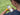 boy looking at cellphone with hyperspeed app on screen