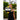 Front view of female holding SKLZ Setting trainer weighted volleyball outdoors