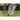 Quickster Sport Net