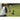 other female watching in a baseball field.