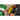 Close up view of positioning of SKLZ Shallow Shot between male arms
