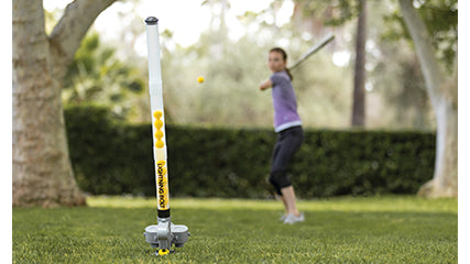 Lanceur automatique de balles pour chien Lanceur automatique de balles pour chien