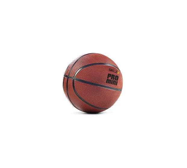 Mini Basketball Hoop and Balls 